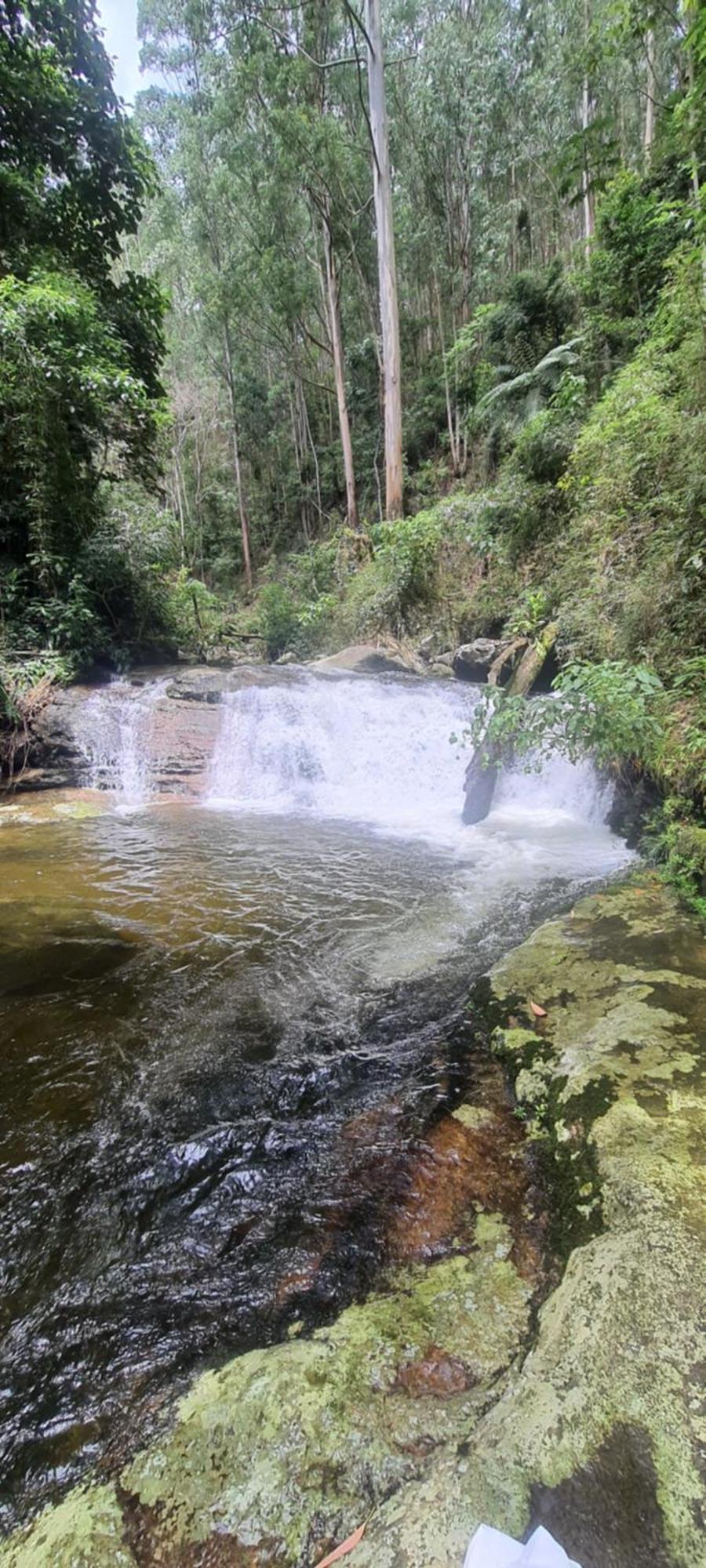 Ap Centro Cascatinha Prox Parque Lejlighed Nova Friburgo Eksteriør billede